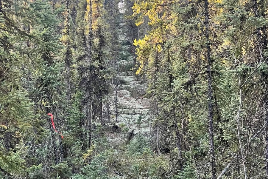 Heavy equipment clearing access in remote Canadian terrain